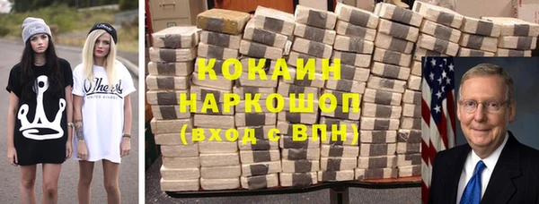 стаф Дмитриев