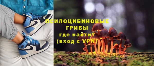 гидропоника Дмитровск